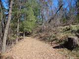  Fawn Road - Photo 4