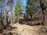  Fawn Road - Photo 5
