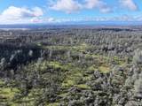 Happy Valley Road - Photo 35