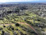  Happy Valley Road - Photo 38