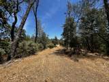 0000 Backbone Road - Photo 11