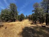 0000 Backbone Road - Photo 4