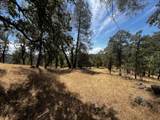 0000 Backbone Road - Photo 5