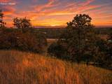  Deer Crest Trail - Photo 10