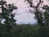  Mccoy Road - Photo 13