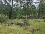  Wistful Vista Lane - Photo 10