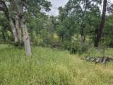  Wistful Vista Lane - Photo 11
