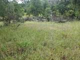  Wistful Vista Lane - Photo 12