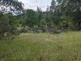  Wistful Vista Lane - Photo 13