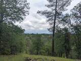  Wistful Vista Lane - Photo 15