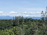  Wistful Vista Lane - Photo 17