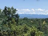  Wistful Vista Lane - Photo 18