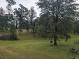  Wistful Vista Lane - Photo 3