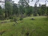  Wistful Vista Lane - Photo 9