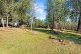 22848 Elk Trail - Photo 53
