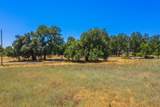  Plaza Drive - Photo 14