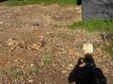 4160 Easter Avenue - Photo 6