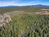 8495 Sky Tree Lane - Photo 29