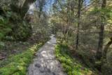 19563 Roaring Brook Way - Photo 55
