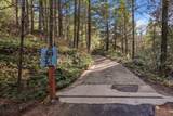 19563 Roaring Brook Way - Photo 63