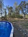 9246 Chaparral - Photo 34