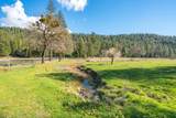 29276 Bullskin Ridge Road - Photo 102