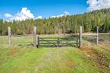 29276 Bullskin Ridge Road - Photo 104