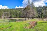 29276 Bullskin Ridge Road - Photo 105