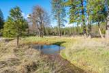 29276 Bullskin Ridge Road - Photo 107