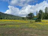 29276 Bullskin Ridge Road - Photo 3