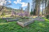 29276 Bullskin Ridge Road - Photo 49