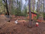 29276 Bullskin Ridge Road - Photo 61