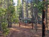 29276 Bullskin Ridge Road - Photo 69