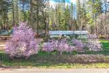 29276 Bullskin Ridge Road - Photo 7