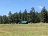 29276 Bullskin Ridge Road - Photo 73