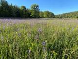 29276 Bullskin Ridge Road - Photo 74