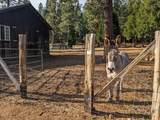29276 Bullskin Ridge Road - Photo 75