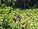 29276 Bullskin Ridge Road - Photo 76