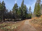 29276 Bullskin Ridge Road - Photo 79