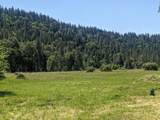 29276 Bullskin Ridge Road - Photo 82