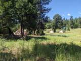 29276 Bullskin Ridge Road - Photo 94