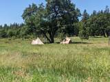 29276 Bullskin Ridge Road - Photo 96