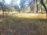 12910 Old Oregon Trail - Photo 1