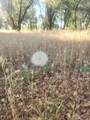 12910 Old Oregon Trail - Photo 4