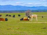 23504 Dersch Road - Photo 40