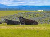 23504 Dersch Road - Photo 41