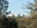  Olinda Road - Photo 4