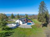 29099 Doveweed Way - Photo 12