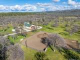 29099 Doveweed Way - Photo 7