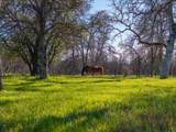 15525 Bowman Road - Photo 40